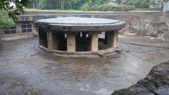 pune-darshan-car-pataleshwar-caves